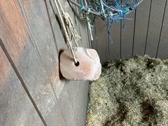 -北京群众马术培训基地