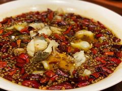 -肆海小川菜酒馆Wine Bistro (青年路店)