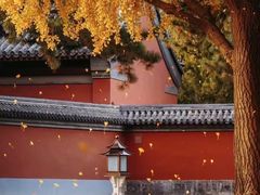 -北京SKP