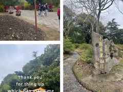 -上海滨江森林公园