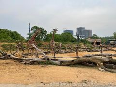 -杭州野生动物世界