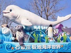 -石家庄极地海洋世界