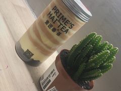 -素匠泰茶(三里屯SOHO工体奶茶店)