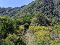 -阳台山自然风景区