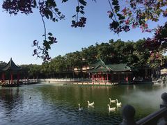 -广东圆玄道观