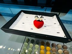 -BLACKSWAN黑天鹅(环球店)