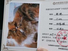 -奈斯宠物医院·核磁CT·异宠专科·内镜(中南店)