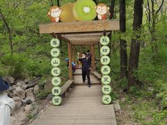 -大岭沟猕猴桃谷风景区