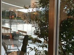 -喜茶(珠海华发商都店)