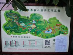 -西双版纳原始森林公园