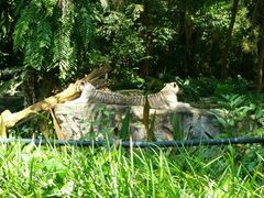 android_upload_pic-河川生态园