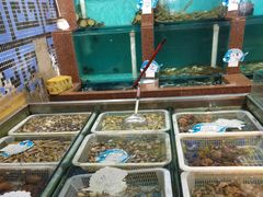 -大清花饺子(五五路店)