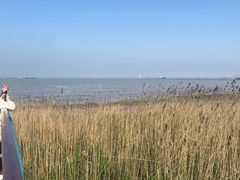 -上海吴淞炮台湾国家湿地公园