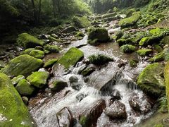 -碧峰峡风景区