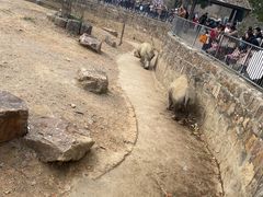 -无锡动物园·太湖欢乐园