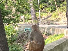 -黔灵山公园