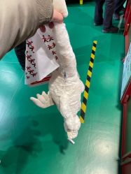 点击看大图 -Hamleys哈姆雷斯(东方福来德店)