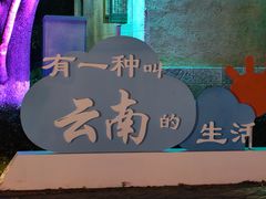 -云南民族村