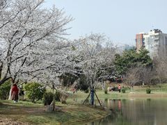 -堤角公园