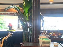 -菌自由丨野生菌火锅特色庭院餐厅(丽江古城店)