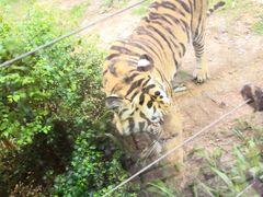 -泉州海丝野生动物世界