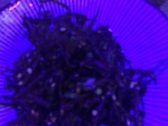 -胡桃里音乐酒馆(白云五号T5 MALL店)