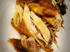 手撕鸡-东方饺子王(新奥购物中心店)