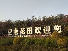 -空港花田景区