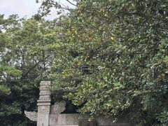 -普陀山风景区-佛顶山