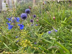 -白草畔自然风景区