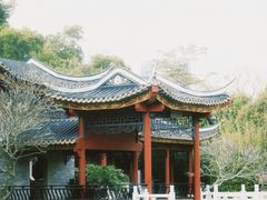 -顺峰山公园