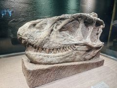 -自贡恐龙博物馆