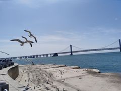 -星海广场