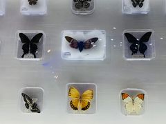 -齐齐哈尔龙沙动植物园