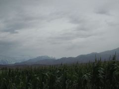 -新疆天山托木尔景区·大峡谷