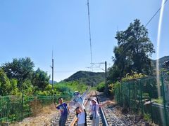 -阳台山自然风景区