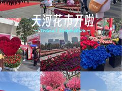 -天河体育中心