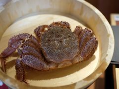 -蟹田居·活蟹料理(东城店)