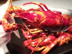 -沪小胖·小龙虾·蓝龙王(八佰伴店)