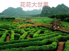 -南宁花花大世界景区