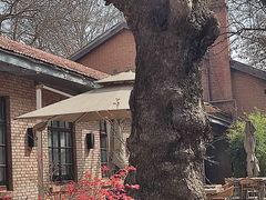 -西安电影制片厂