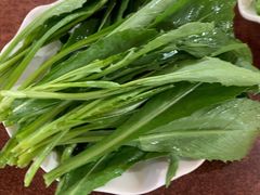 藏红花苗-顺顺小吃(独克宗古城店)