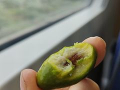-惠阳站