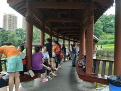 -龙头寺公园