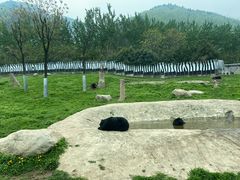 -西安秦岭野生动物园