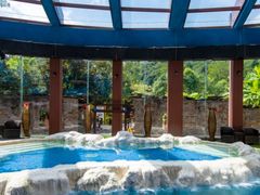 -中铁花水湾温泉酒店(大邑店)