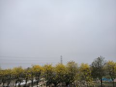 -盈香心动乐园
