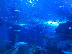 -多彩贵州城极地海洋世界