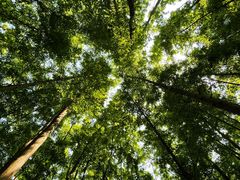 -桤木河湿地公园