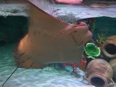 -沈阳海洋探索中心